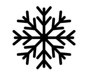 flocon2